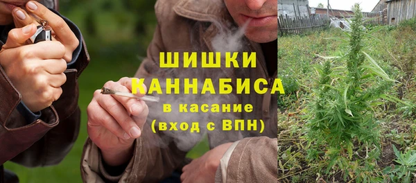 Альфа ПВП Аркадак
