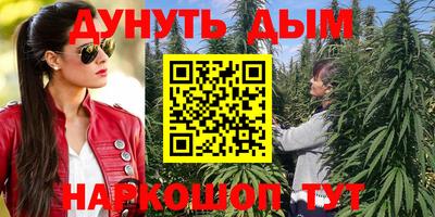 стаф Обнинск