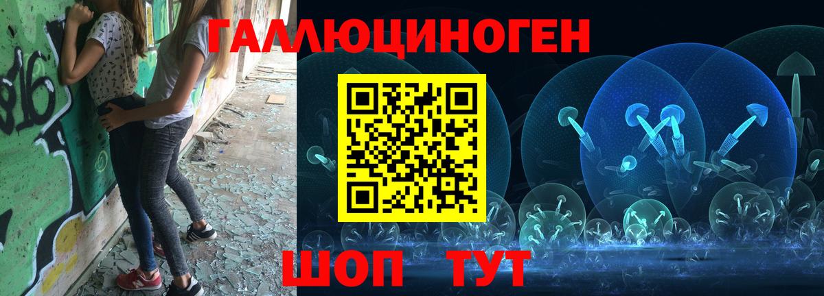 Галлюциногенные грибы Psilocybe Спасск-Дальний