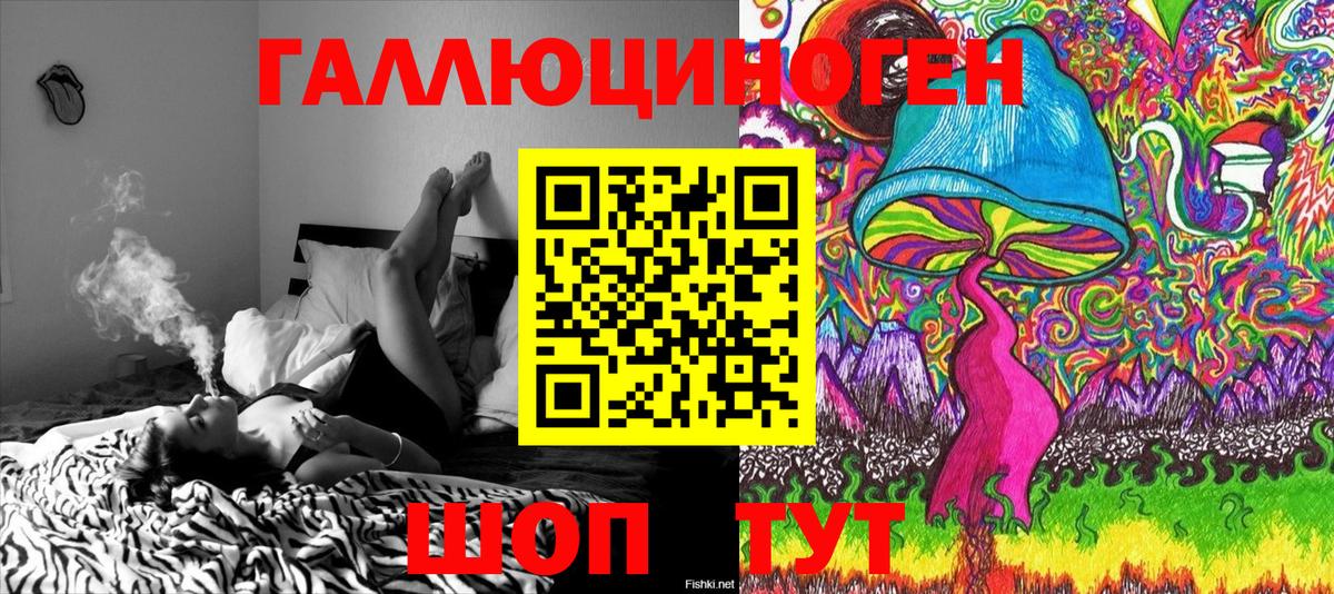 Спасск-Дальний  Галлюциногенные грибы GOLDEN TEACHER  Вход с VPN 